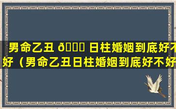 男命乙丑 🐅 日柱婚姻到底好不好（男命乙丑日柱婚姻到底好不好呀）